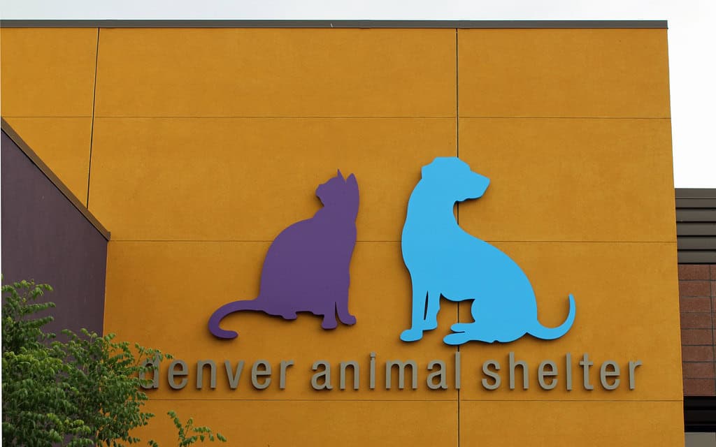Denver Animal Shelter
