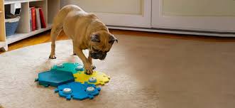 FluentPet
