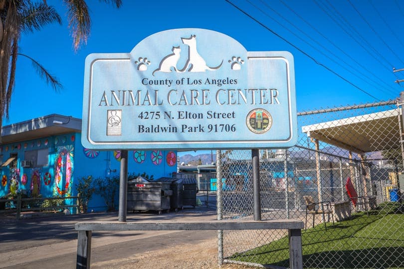 Los Angeles County Department of Animal Care and Control.