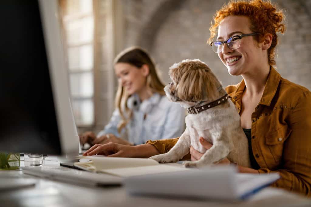 How Does A Pet Friendly Workplace Benefit Employees.