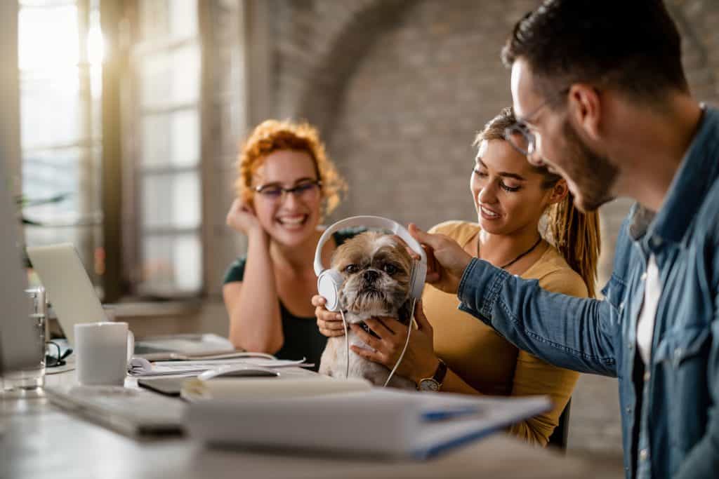 Pets Enhance Team 