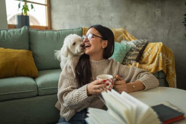 dog friendly