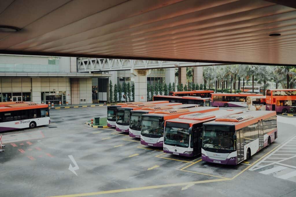 Are Buses Pet Friendly