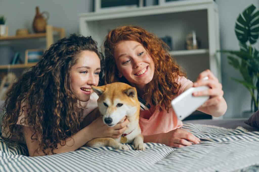 Dog Friendly Pet Insurance