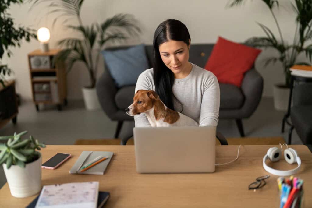 Dog Friendly Workplace Tips