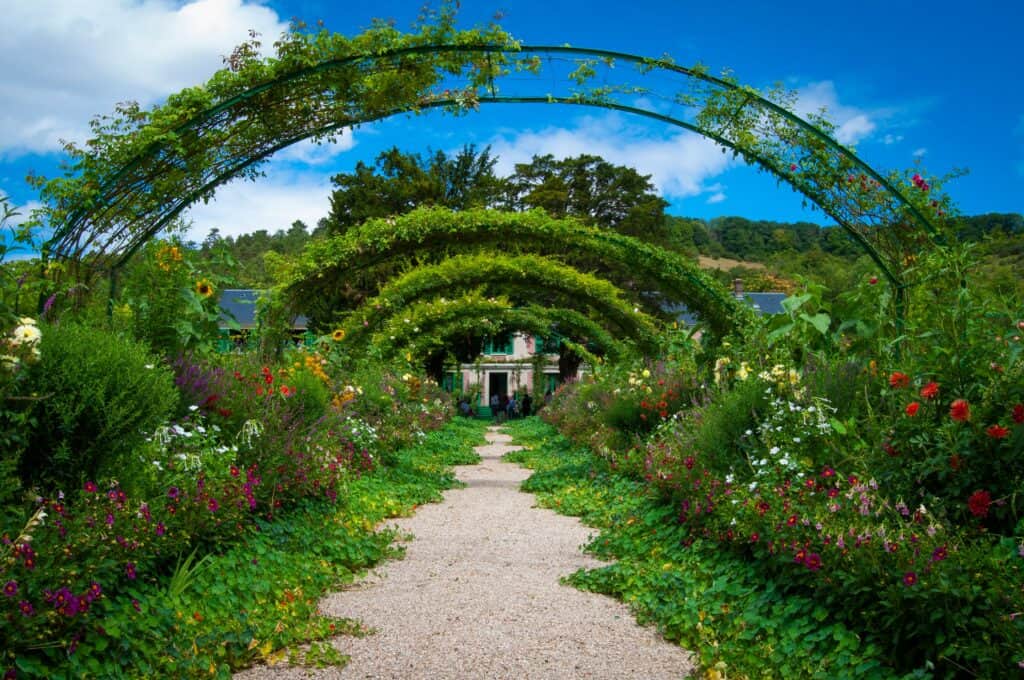 How to Create a Pet-Friendly Garden