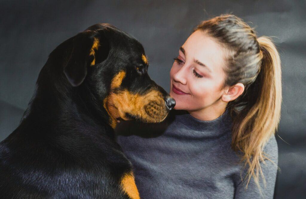 Why Are Pet Friendly Insurance Plans Popular