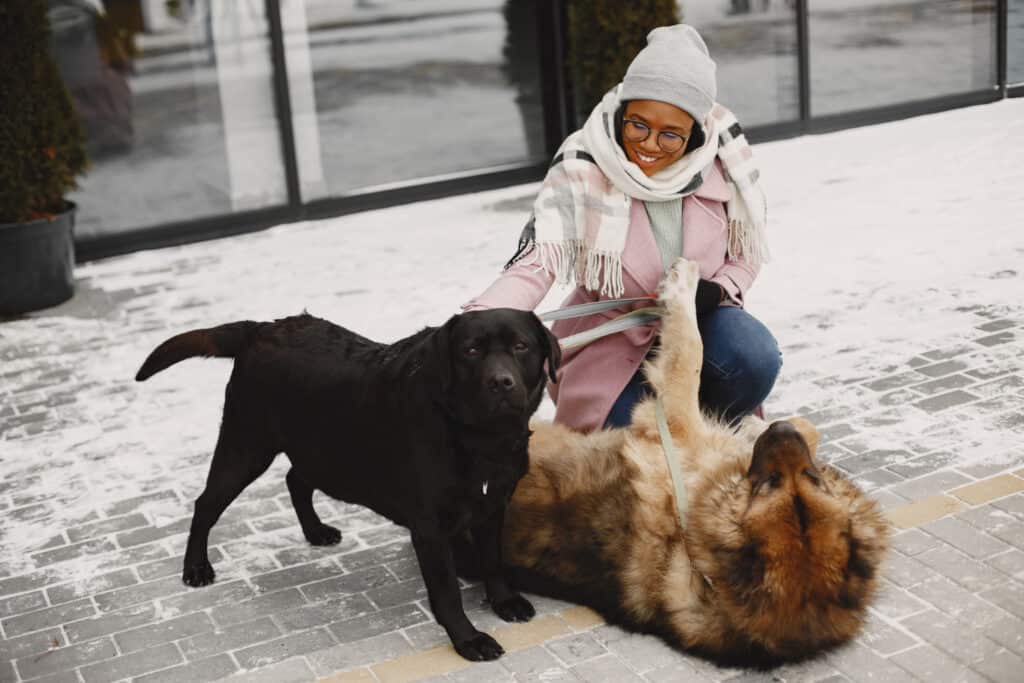 Are Pet Adoption Centers Pet Friendly