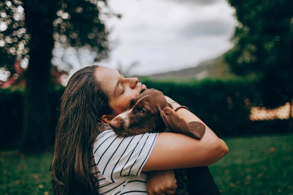 Pet Friendly Pet Care Tips