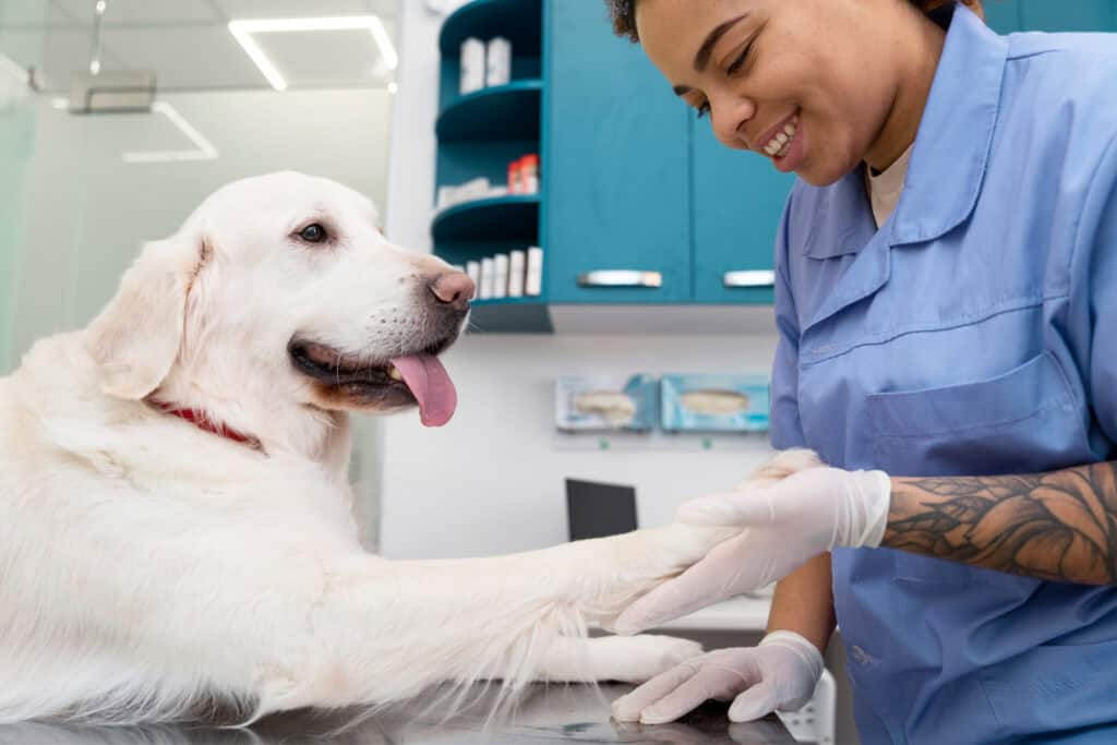Are Pet Friendly Pet Health Clinics Effective