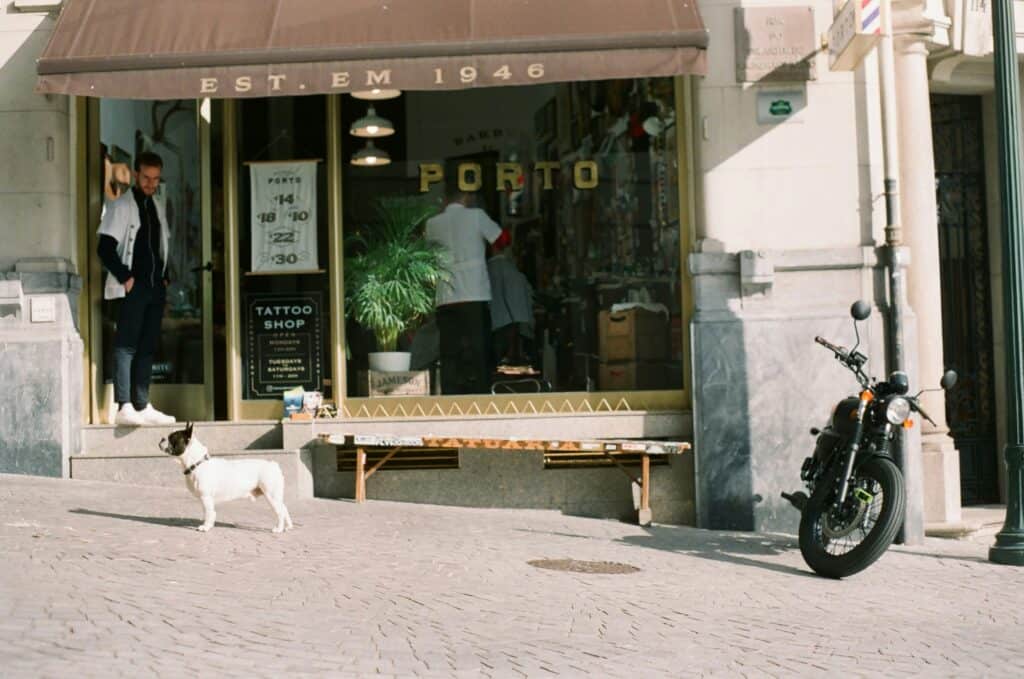Pet Friendly Cafes Near Me