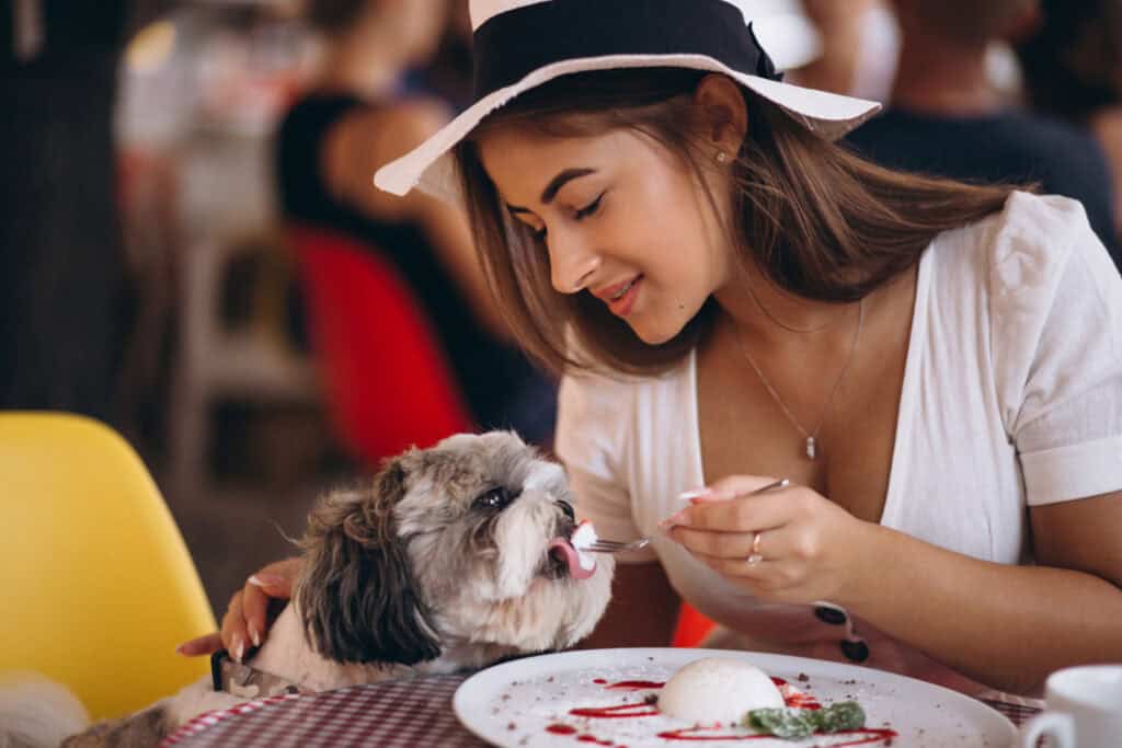 Pet Friendly Event Locations