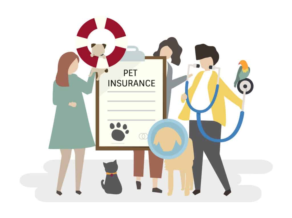Pet-Friendly Pet Insurance