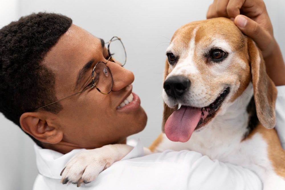 Why Choose Pet Friendly Services