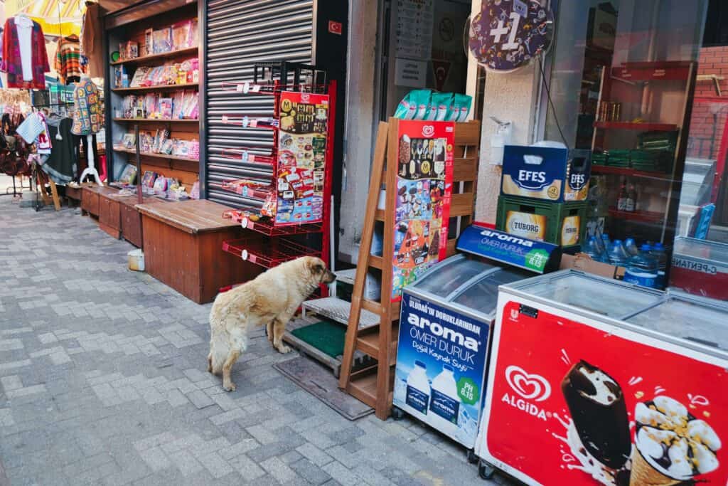 Pet-Friendly Specialty Retail