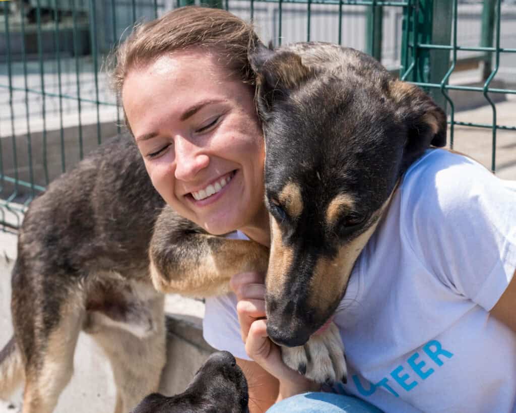 Why Are Pet Shelters Important