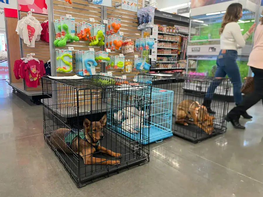 PetSmart store