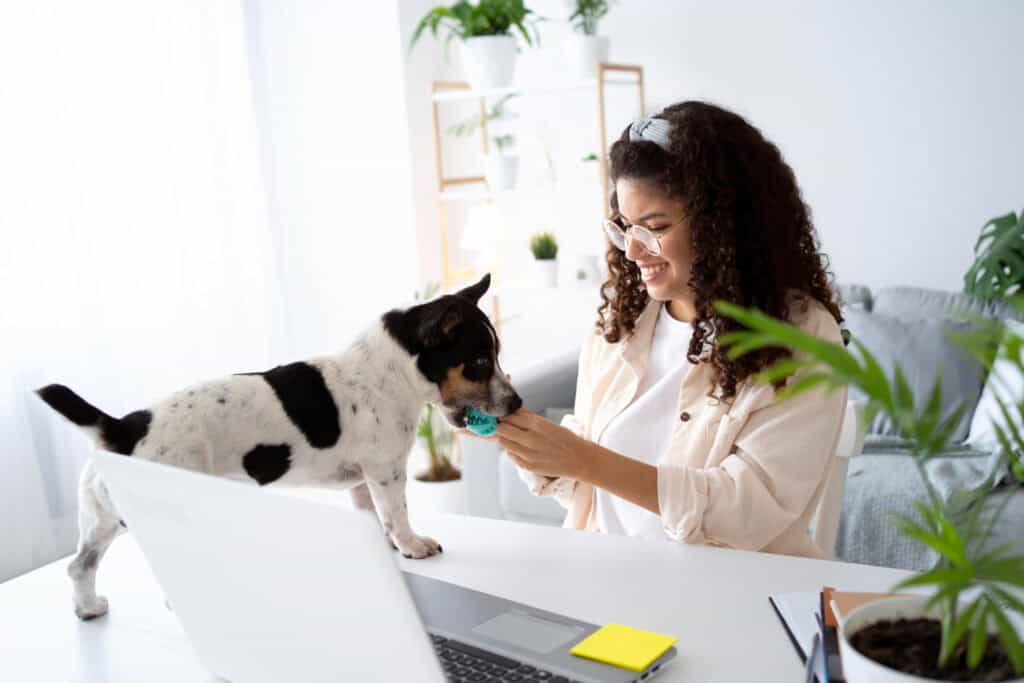 Pet Friendly Workplaces