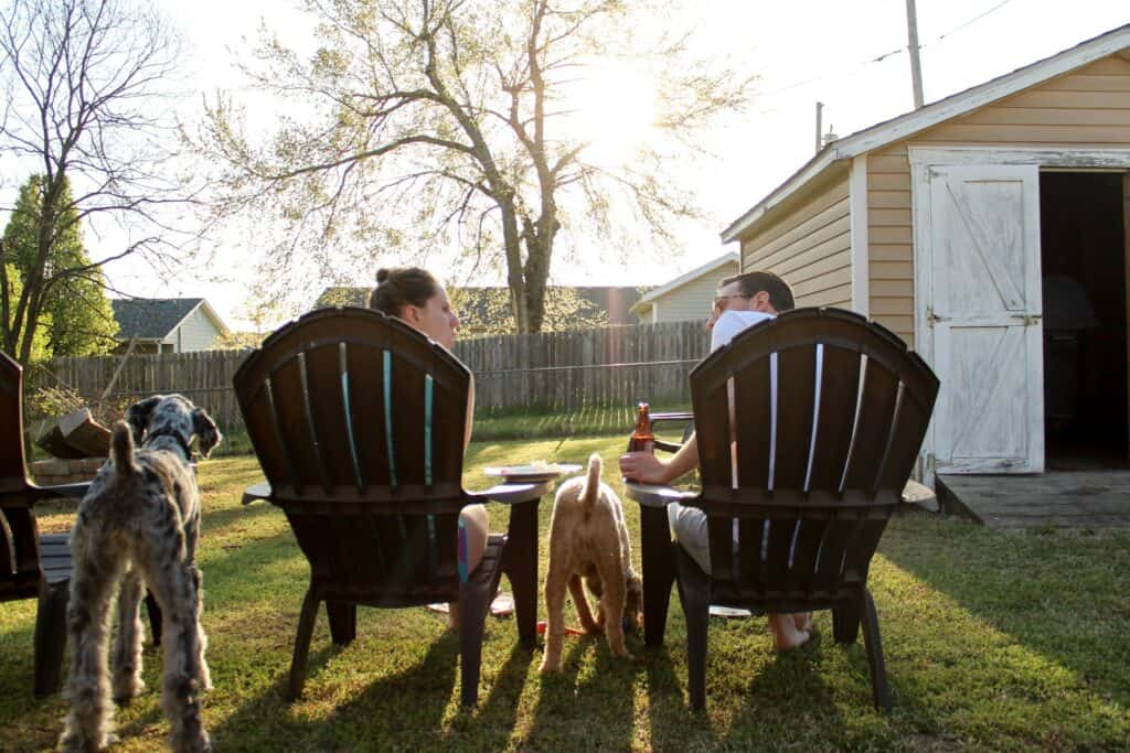 Why Are Pet Friendly Events Popular