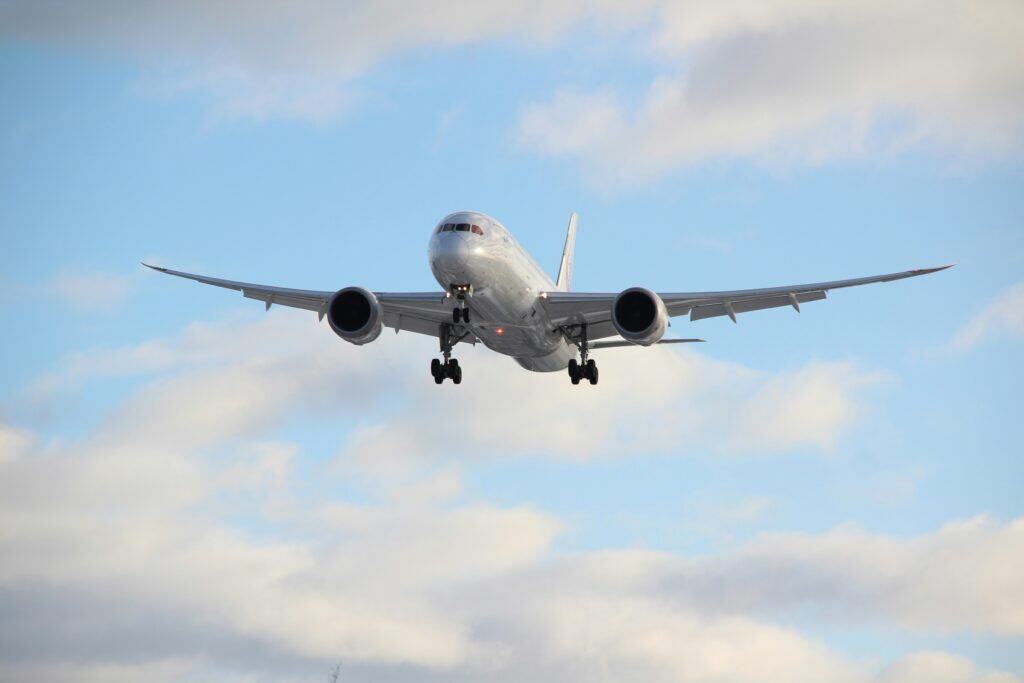 Are Airlines Pet Friendly
