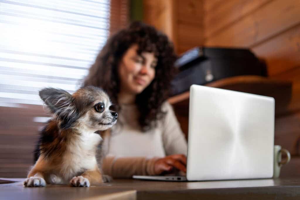 Dog Friendly Office Culture