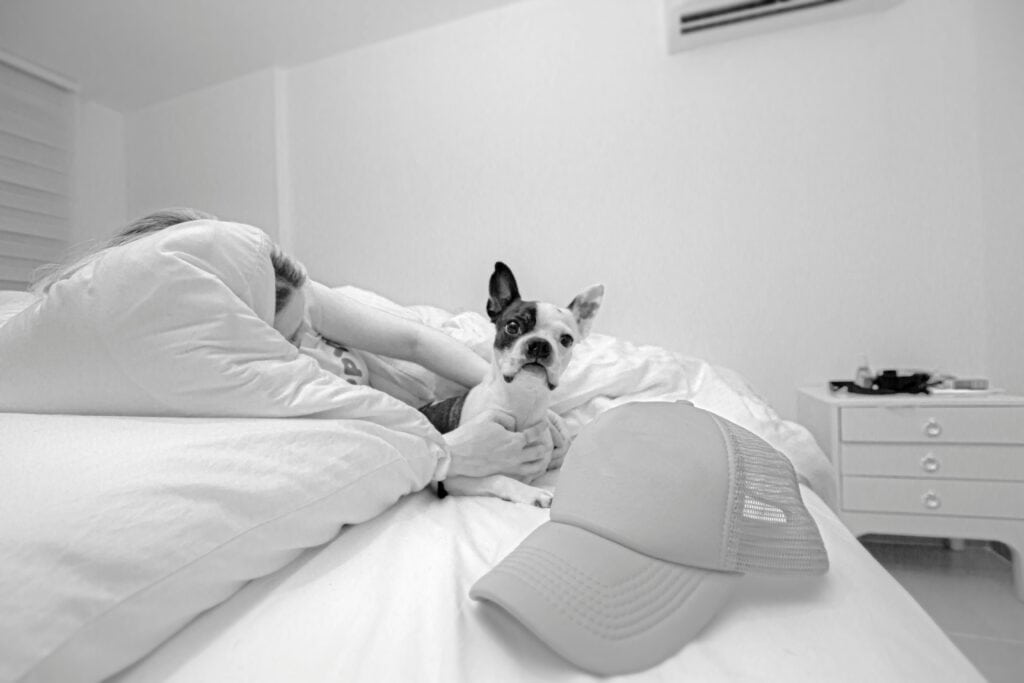 Why Are Some Hotels Pet Friendly