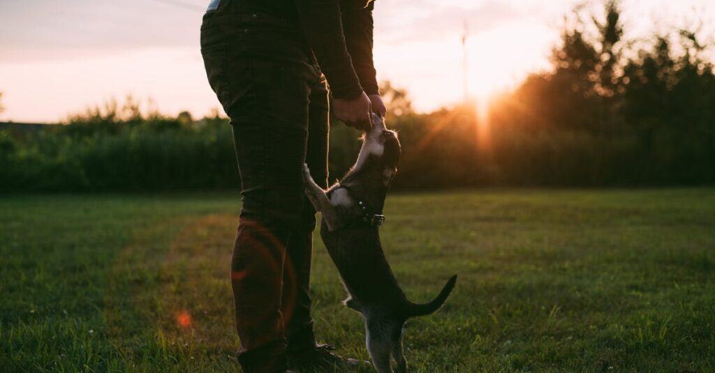Dog Friendly Weekend Getaways