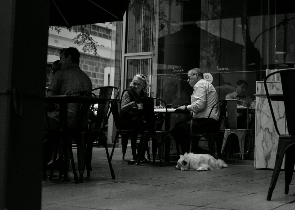 Pet-Friendly Dining & Coffee