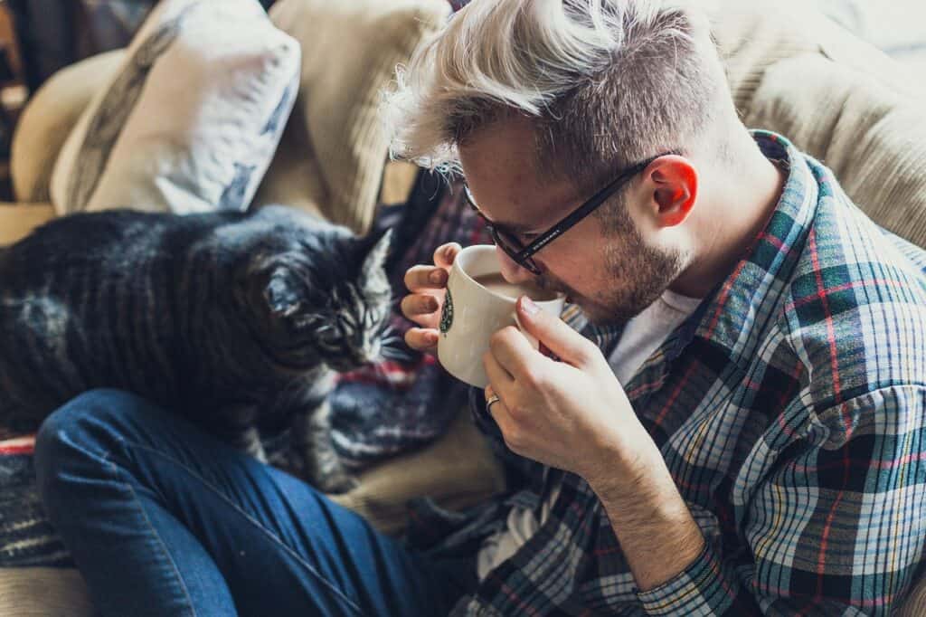 How to Create a Pet-Friendly Home