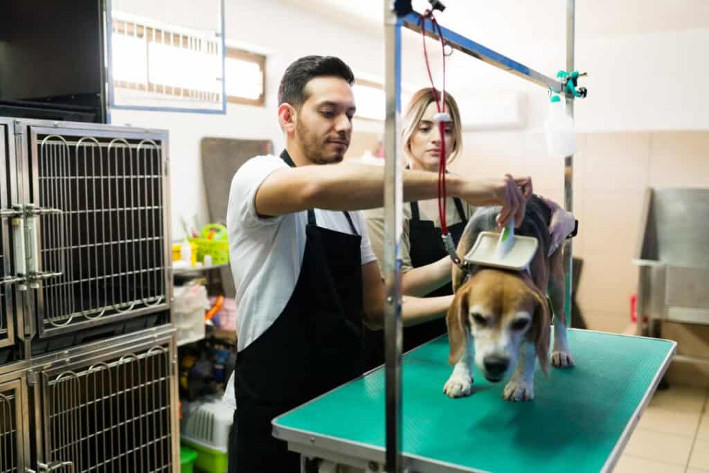 Are Pet Friendly Grooming Products Safe