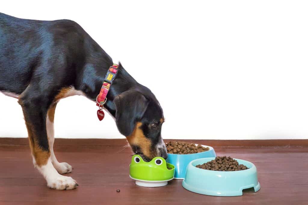Are Pet Friendly Pet Treats Safe
