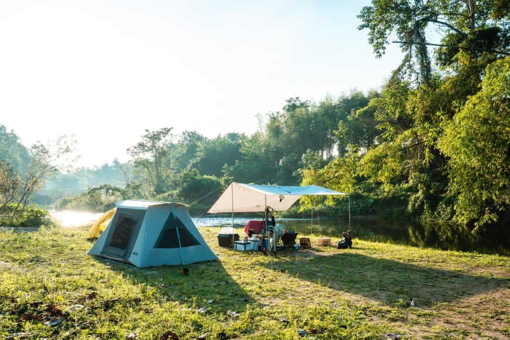 Are Campgrounds Pet Friendly