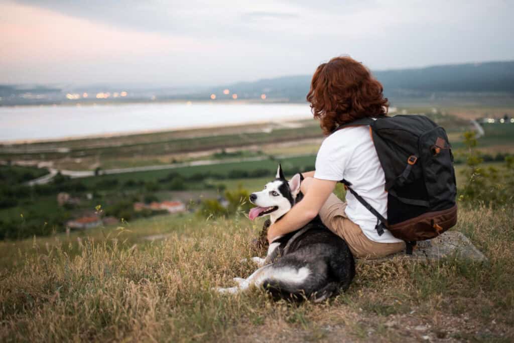 Are Pet Friendly Camping Sites Common