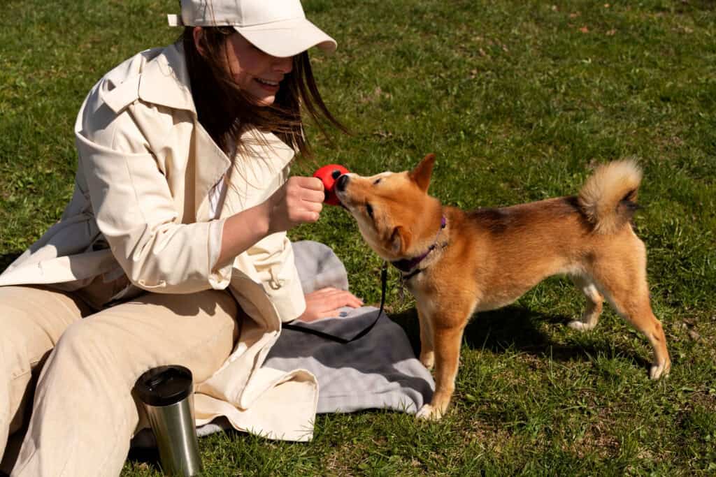Are Pet Friendly Campsites Reliable