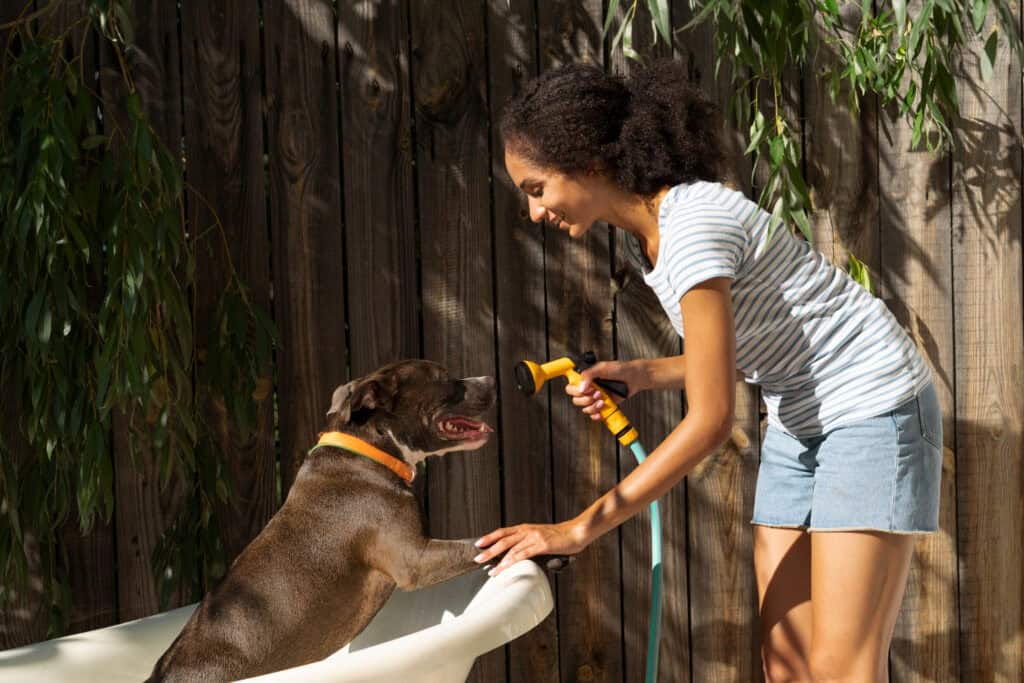 Dog Safe Grooming Products