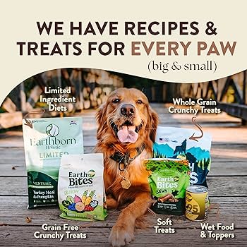 Cat Friendly Pet Food Brands