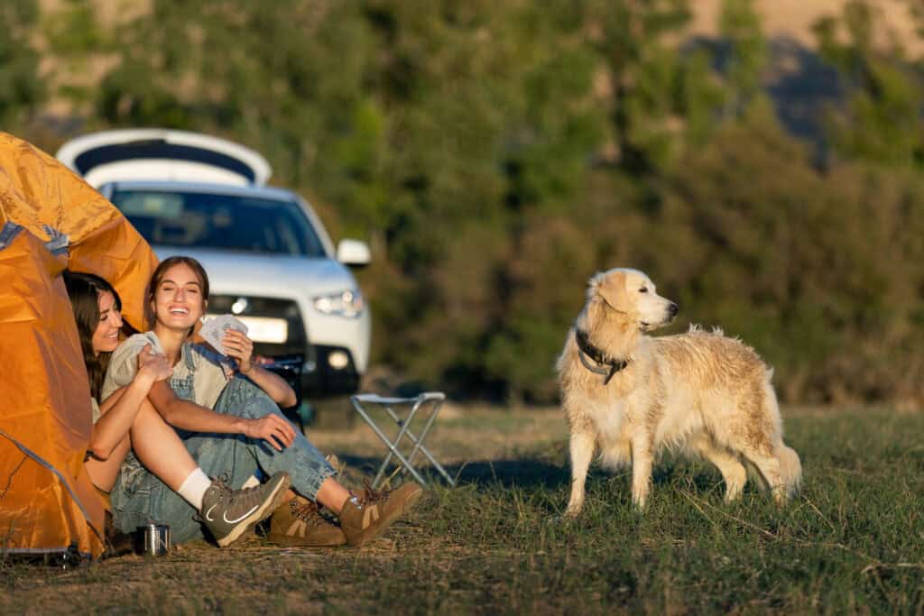 Pet Friendly Camping Sites