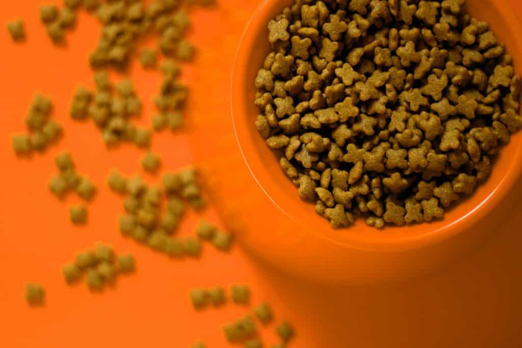 Dog Safe Pet Food Brands