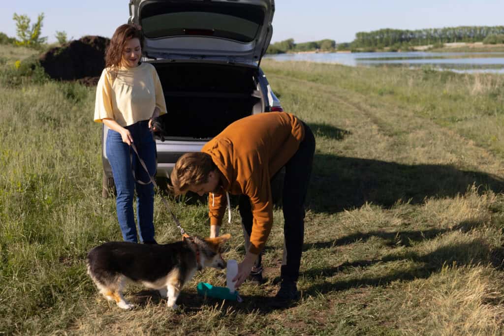 Pet Friendly Camping Destinations Near Me