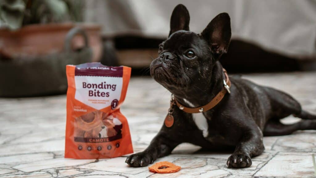 Pet Friendly Pet Treats