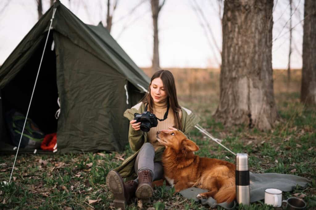 Pet Friendly Travel Tips for Dogs