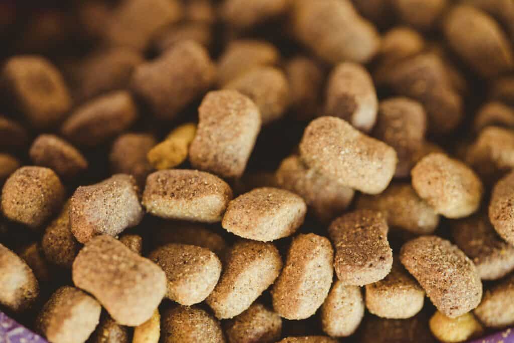 Why Are Pet Friendly Pet Foods Beneficial