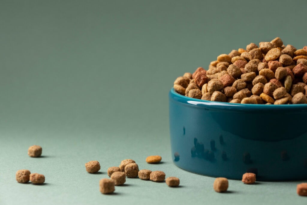 Cat Safe Pet Food