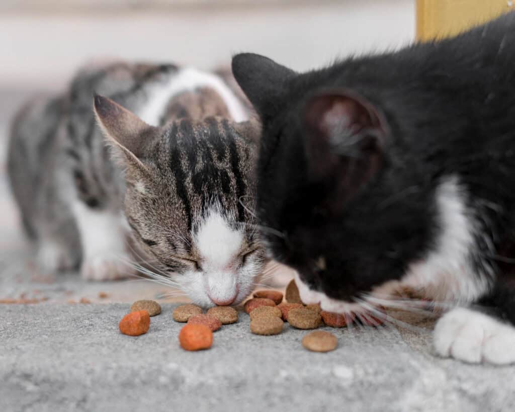 Cat Safe Pet Food Materials