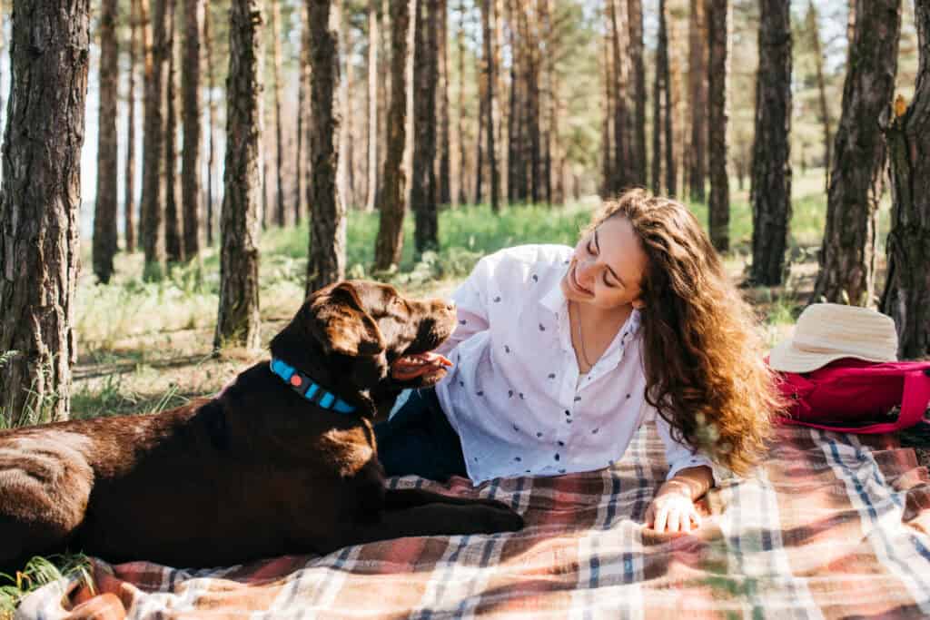 Dog Safe Camping Equipment