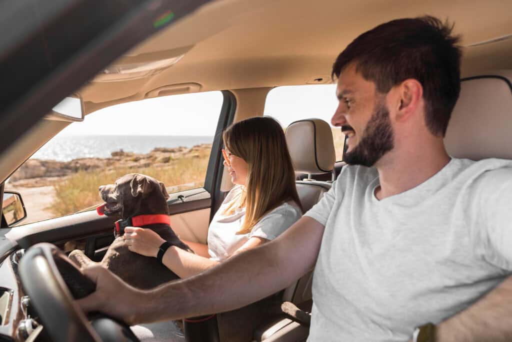 Are Pet Friendly Travel Guides Reliable