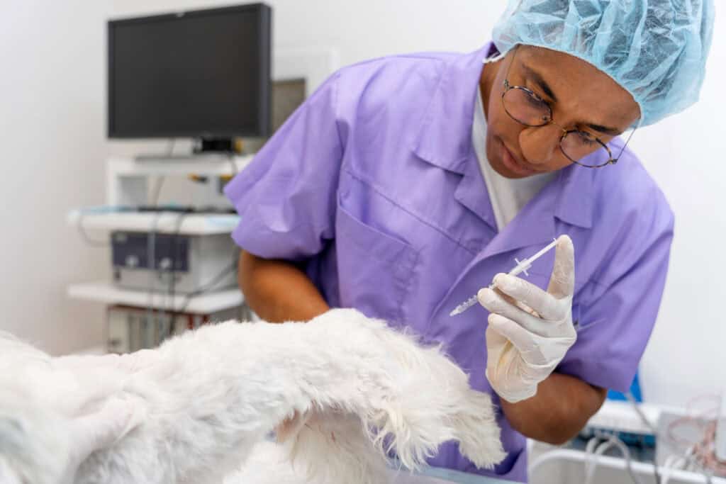 Are Pet Friendly Health Clinics Safe